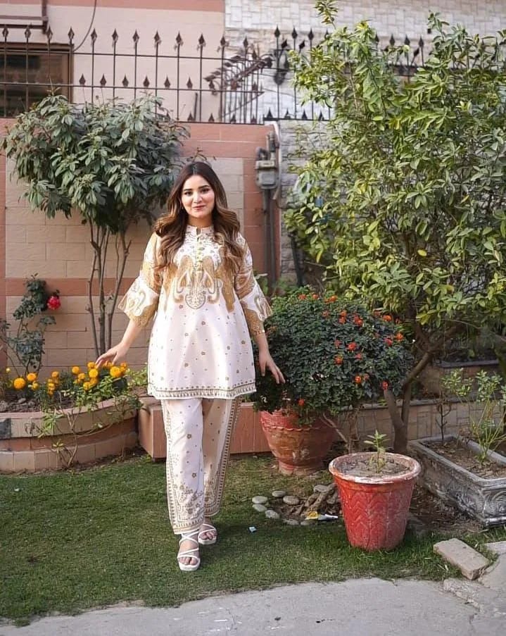 2 Pcs Women's Stitched Swiss Lawn Printed Shirt And Trouser