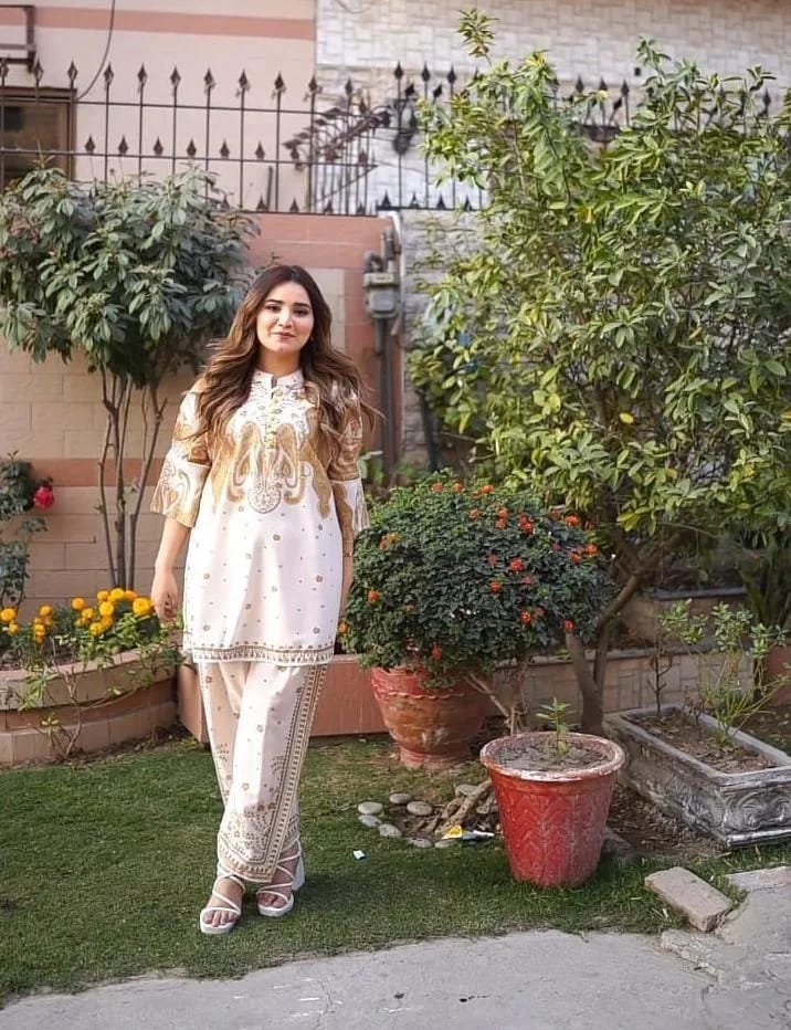 2 Pcs Women's Stitched Swiss Lawn Printed Shirt And Trouser