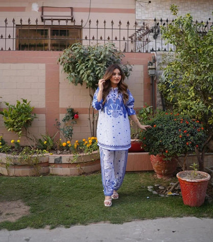2 Pcs Women's Stitched Swiss Lawn Printed Shirt And Trouser
